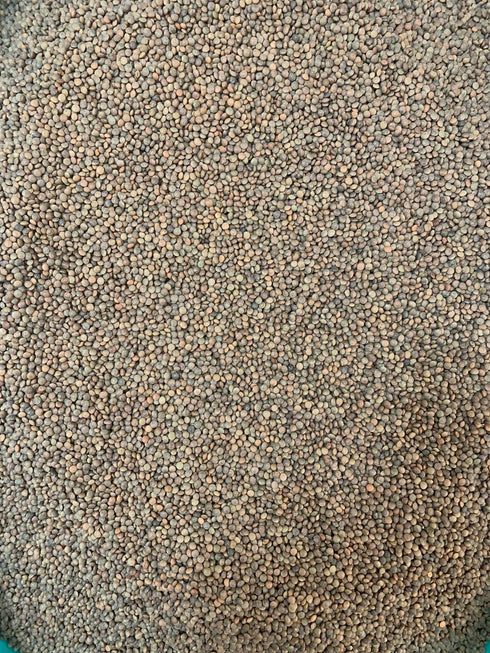 IJJA Masoor Dal Pahadi Or Red Lentil Whole