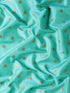 Vasthrlay Paithani Bottle Saree