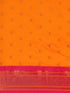 Vasthrlay Paithani Bottle Saree