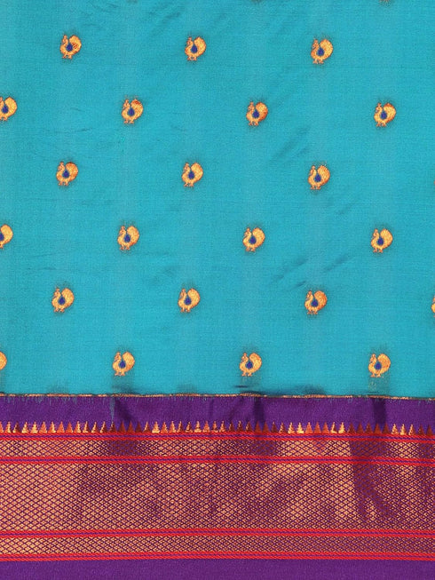 Vasthrlay Maharani Bottle Saree