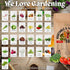 Navika Seeds Organic & Hybrid Vegetable Seeds