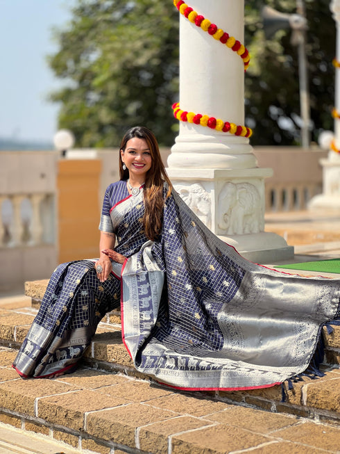 Vasthrlay Elephant Unstitched Saree