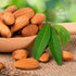 GreenFinity Mixed Dry Fruit