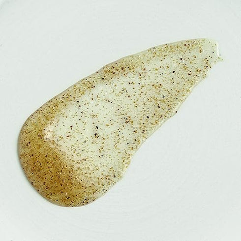 The Body Shop Seaweed PoreCleansing Facial Exfoliator