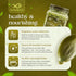 GreenFinity AAA Pumpkin Seeds