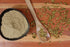 NatureVit Green Cardamom Powder Premium Elaichi for Rich Flavor