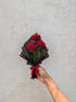 Handicrafts Handmade Crochet Red Roses Bouquet