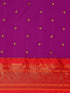 Vasthrlay Paithani Bottle Saree