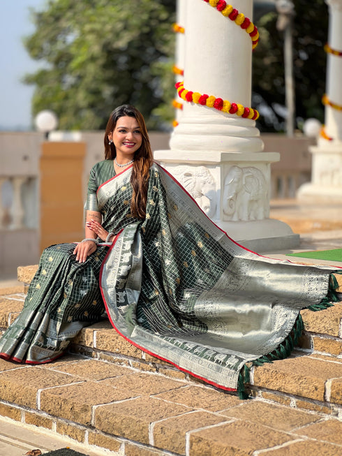 Vasthrlay Elephant Unstitched Saree