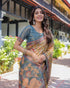 Vasthrlay Handloom Cotton Multicolour Saree