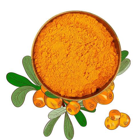 Seabuckthorn Premium Super Fine Powder
