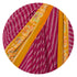 Vasthrlay Fashion Chiffon Printed Lightweight Ethnic Wear