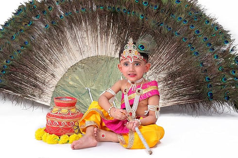Raj Fancy Dresses Krishna Dress for Kids, Baby Krishna Dress for Janmashtami with Krishna Mukut