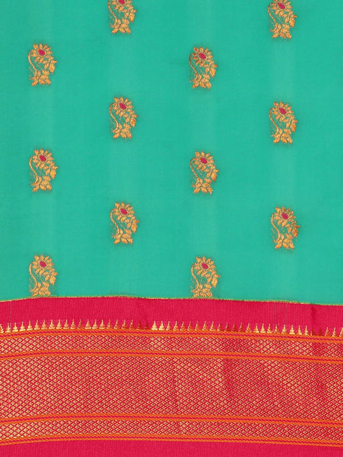 Vasthrlay Pheshwai Bottle Saree