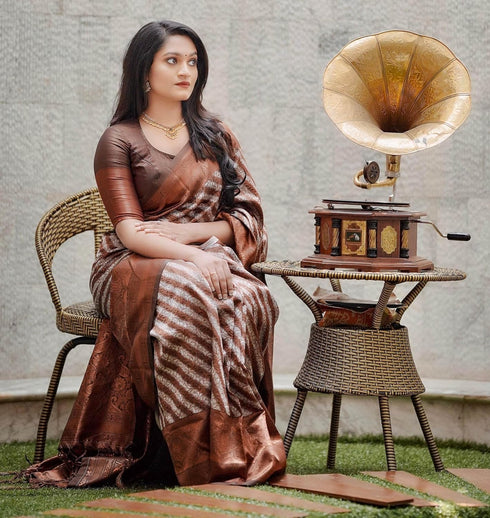 Vsathrlay Kanchipuram Saree