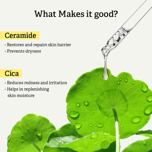 Nykaa Naturals Korean Sheet Mask (20g)