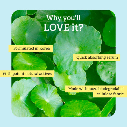 Nykaa Naturals Korean Sheet Mask (20g)