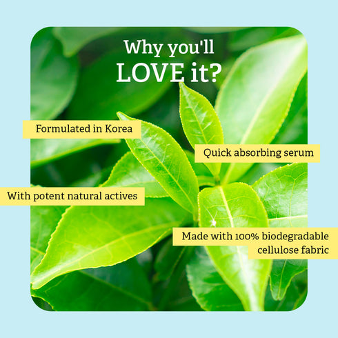 Nykaa Naturals Korean Sheet Mask (20g)