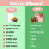 Early Foods Dry Fruit Choco Chip A2 Ghee Laddoo