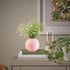 Behoma Vase – Pink