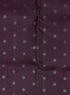 Prakruthi Mughizh Grape & Tea Green Kanchi Border Handloom Soft Silk Saree