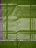 Prakruthi Mughizh Grape & Valley Green Kanchi Border Handloom Soft Silk Saree