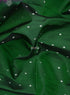 Prakruthi Mughizh Forest Green & Purple Check Handloom Soft Silk Saree
