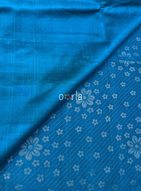 Prakruthi Ezhil Dreamy Blue Pure Silver Zari with Sleeve Work Handloom Soft Silk Saree