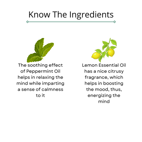 Omorfee India Focus And Concentration Aroma-Therapy