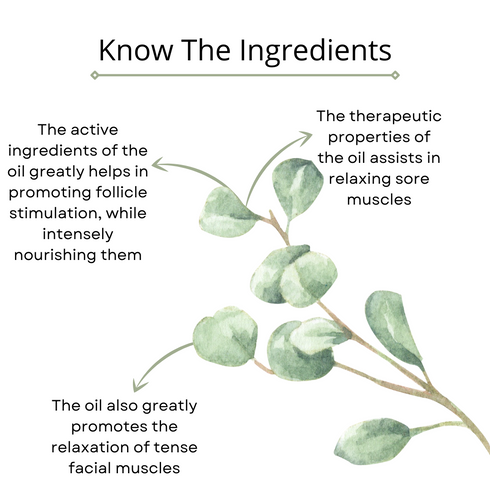 Omorfee India Eucalyptus Essential Oil