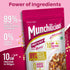 Munchilicious Healthy Starter Kit