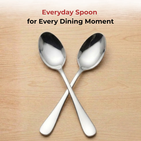 Vinod Decora Stainless Steel Dessert Spoon Set of 12 Piece Heavy Gauge Steel Mirror Finish Rust Free Tough Strong and Durable