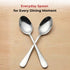Vinod Decora Stainless Steel Dessert Spoon Set of 12 Piece Heavy Gauge Steel Mirror Finish Rust Free Tough Strong and Durable