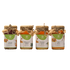 Natuur Pure Honey Variety Pack Himalayan, Acacia, Tulsi & Ginger