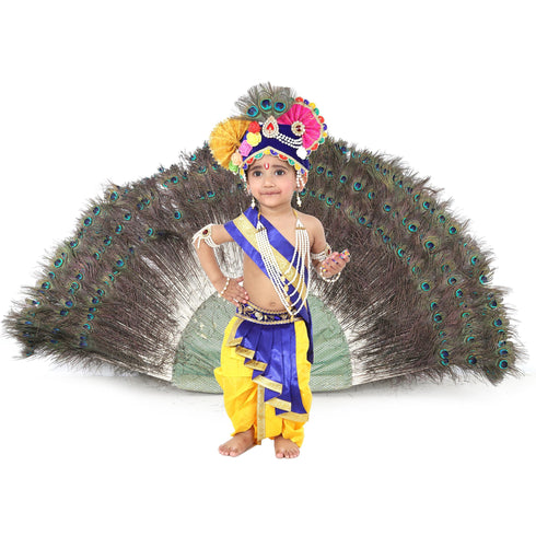Raj Fancy Dresses Baby Krishna Dress for Janmashtami with Krishna Mukut