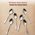 Vinod Florence Stainless Steel Baby Spoon Set of 12 Piece Heavy Gauge Steel Mirror Finish Rust Free Tough Strong and Durable