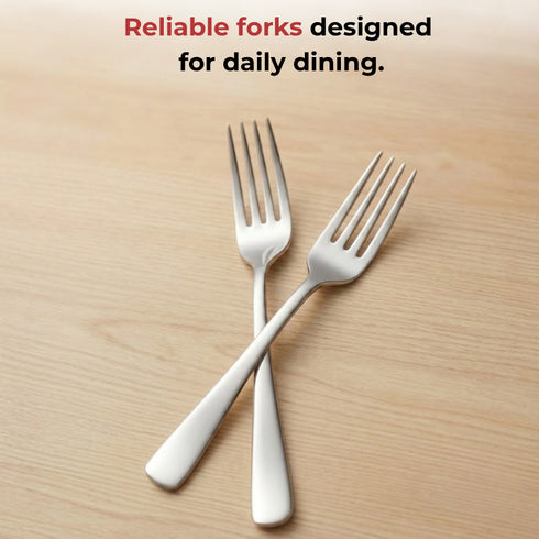 Vinod Aero Stainless Steel Dinner Fork Set of 12 Piece Heavy Gauge Steel Mirror Finish Rust Free Tough Strong and Durable
