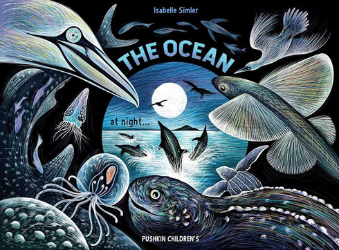 Oxfordbookstore The Ocean at Night Nature at Night