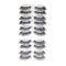 Shills Professional 10 Pair Eyelashes