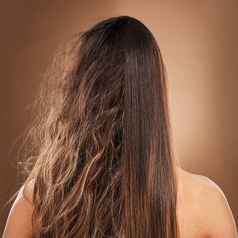 Theearthcollective in Anti Frizz Hair Serum Best Serum for Frizzy Hair Jojoba Argan Chamomile & Vitamin E