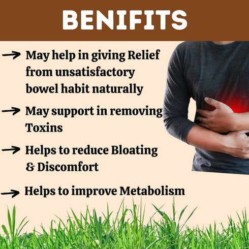 Herbal Hills Ayurveda Aramhills Powder