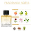 Ajmal Perfumes India ARETHA Perfume for Women
