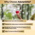 Multani Pharmaceuticals Limited Multani Ayurvedic Arjunarishta Syrup Helpful in Maintaining Wellness of Heart Helps in Management of Blood Pressure