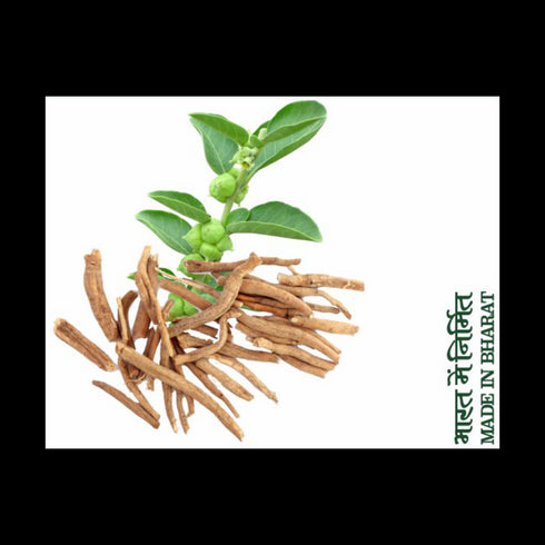 Patanjali Divya Ashwagandha Churna 100g