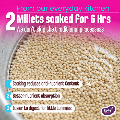 Early Foods Rice and Moong Khichdi Mix