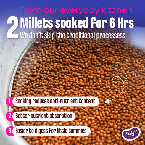 Early Foods Moong and Sprouted Ragi Porridge Mix