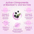 Keya Seth Aromatherapy Fresh Look Blackberry & Tea Tree Face Wash