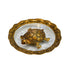 Vastu Brass Tortoise on Glass Plate for Home 241g