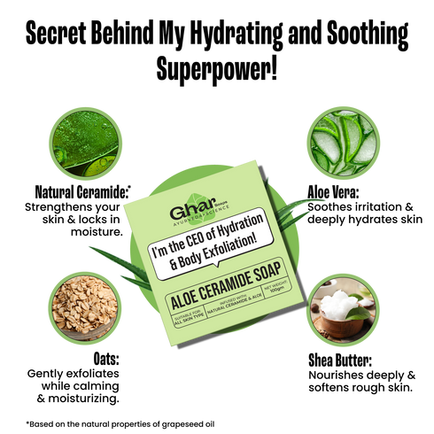 Ghar Soap Aloe Ceramide Soap