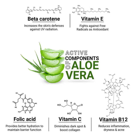 Keya Seth Aromatherapy Aloe Vera Gel Moisturizer